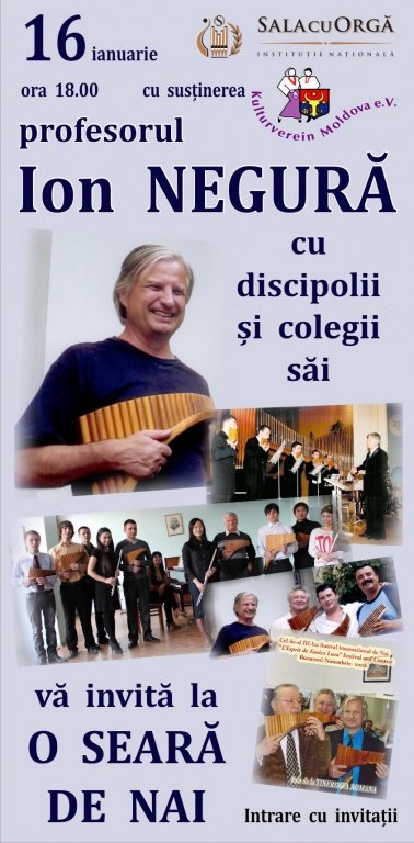O SEARĂ DE NAI